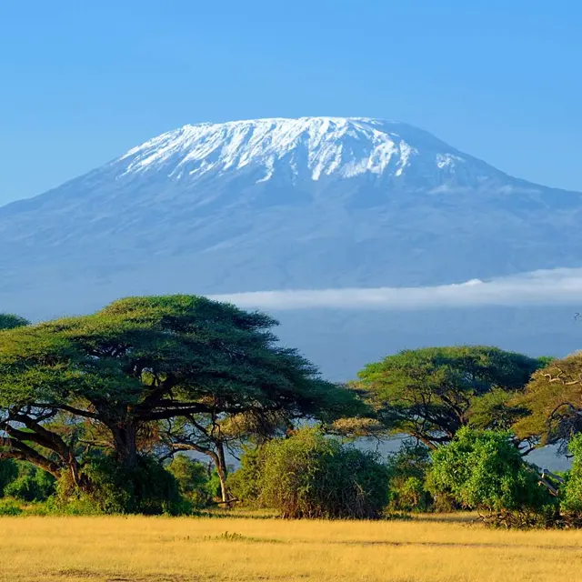 Mont Kilimandjaro