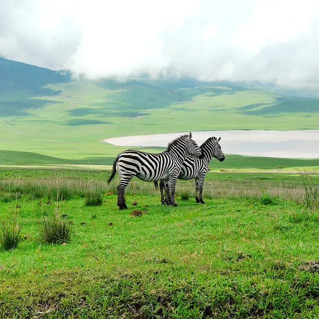 cratere du Ngorongoro